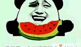 娱乐圈吃瓜的梗叫什么来着,揭秘明星们的幕后故事